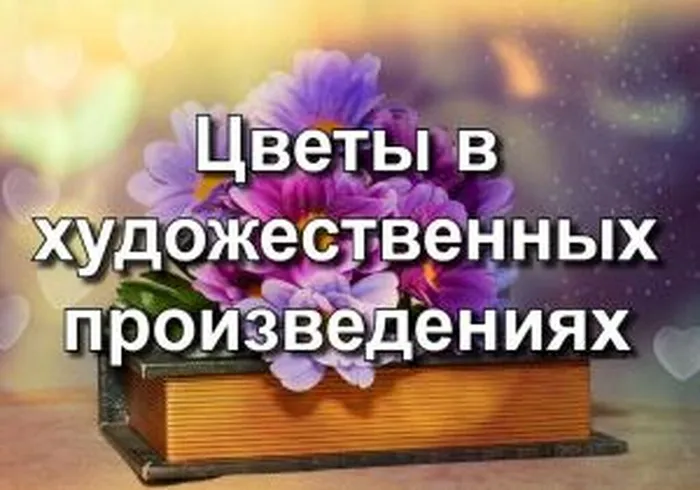 cvlit0
